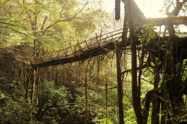 Meghalaya Shillong Cherrapunji