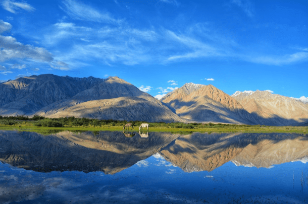 Ladakh Tour Package