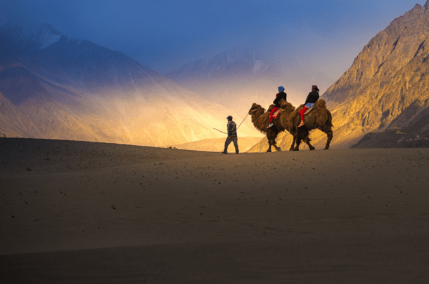 Leh Ladakh Tour