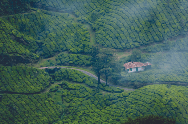 Munnar