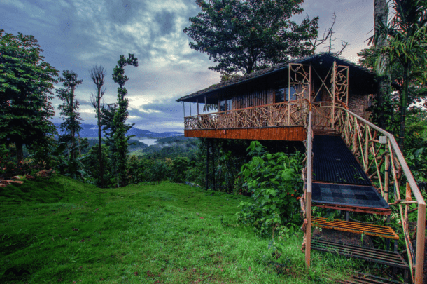 Treehouse Waynad